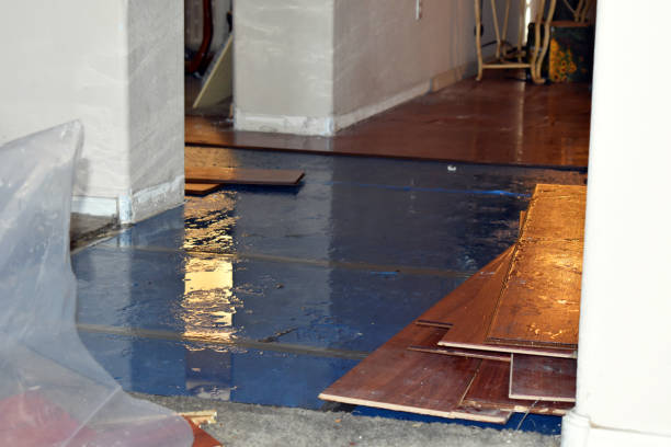 Professional Basement Flood Cleanup technician working in Edgewood, OH